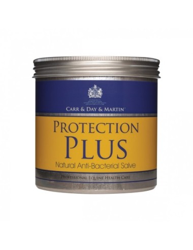 DAY MARTIN PROTECTION PLUS 500ML.