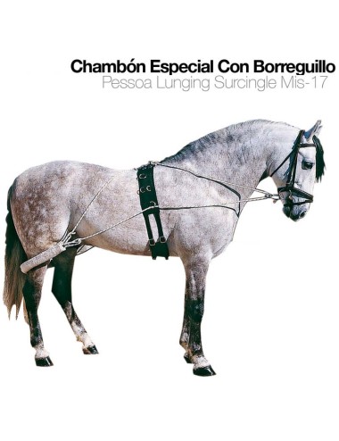 CHAMBON COMPLETO CON BORREGUILLO MIS-17