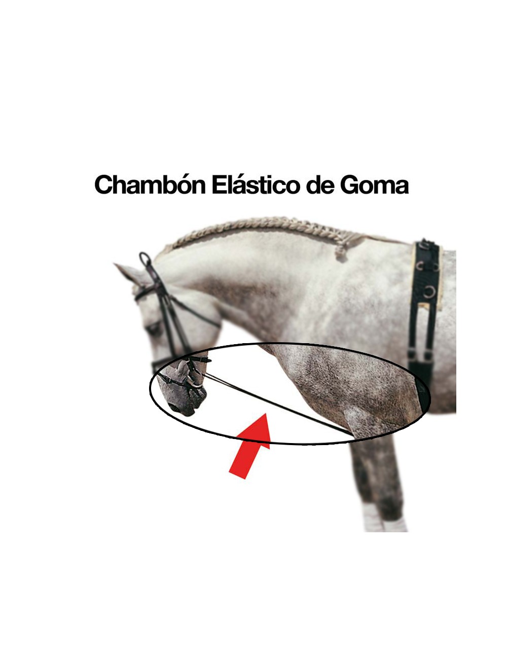 CHAMBON ELASTICO GOMA 4010K